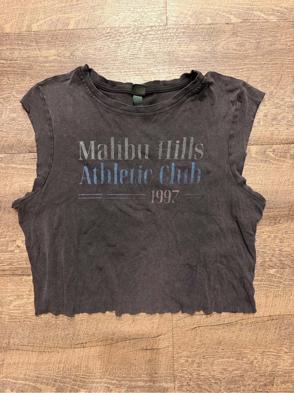Wild Fable Malibu Hills 1997 Sleeveless Crop Top Size L